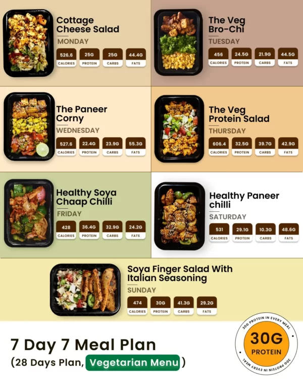 7 Different Meal Plan - 28 Days Raipur - SALE - Image 2